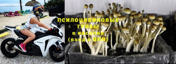 прущая мука Алексеевка